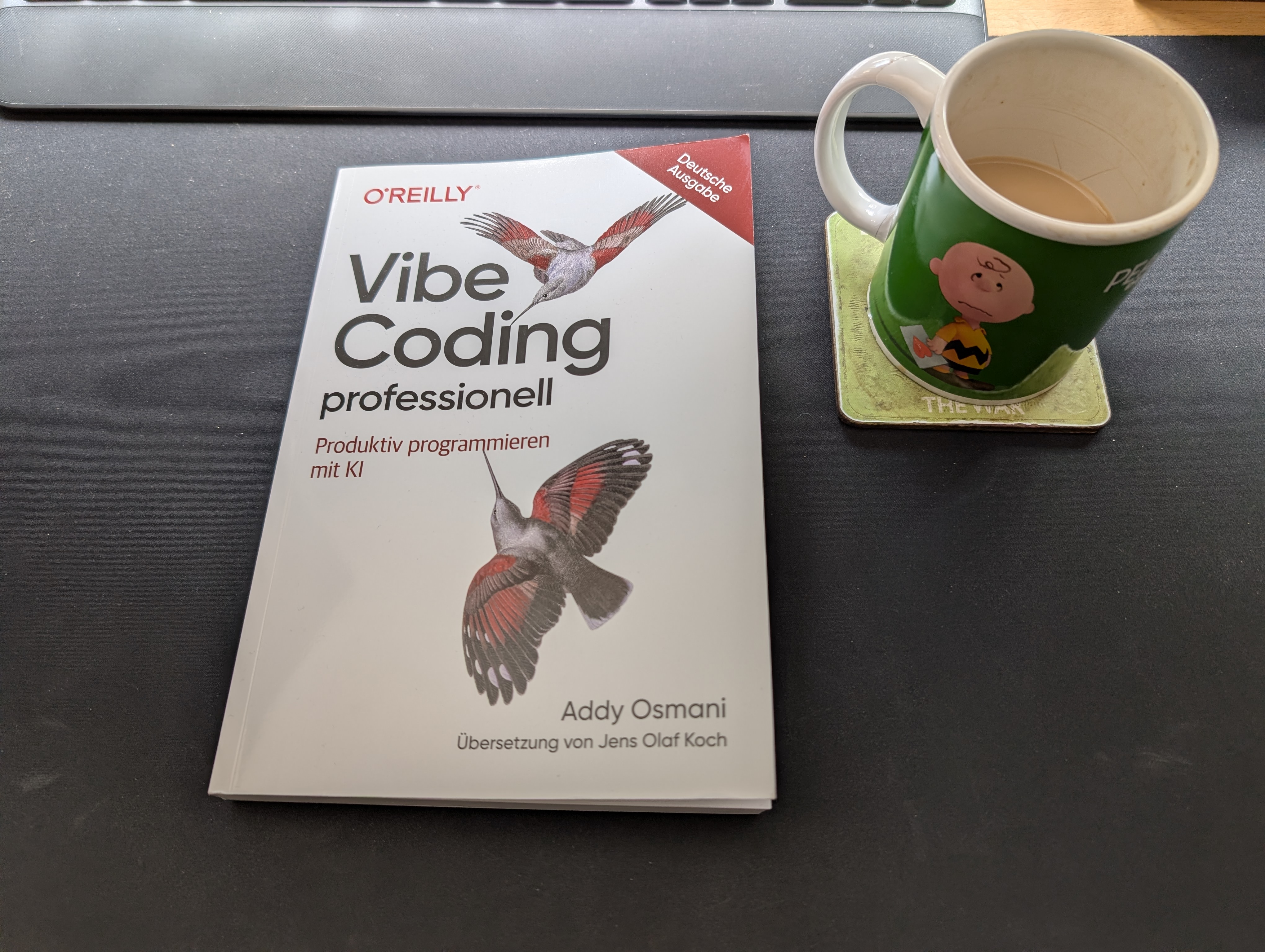 Cover: Vibe Coding professionell